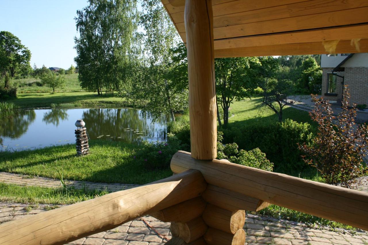 Dikisi Villa Daugavpils Dış mekan fotoğraf