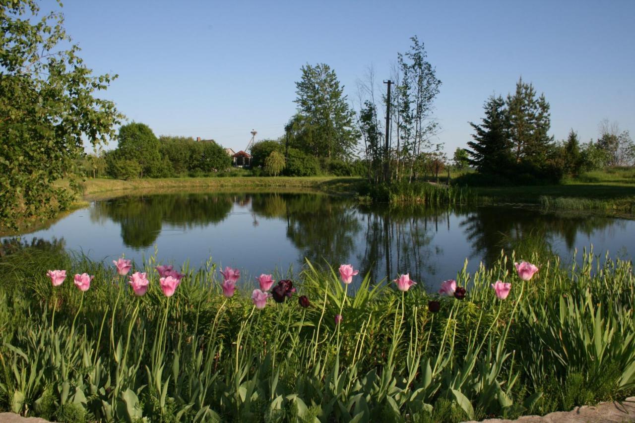 Dikisi Villa Daugavpils Dış mekan fotoğraf