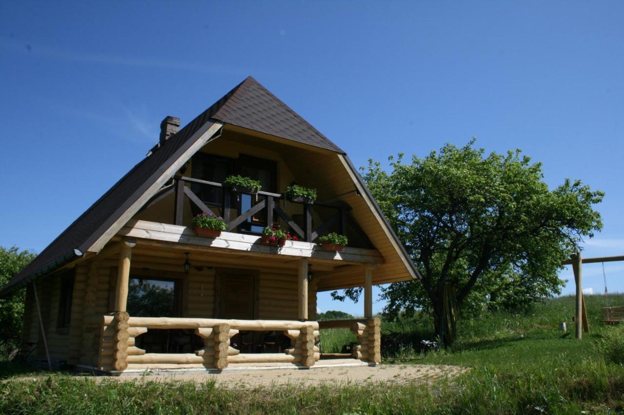 Dikisi Villa Daugavpils Dış mekan fotoğraf