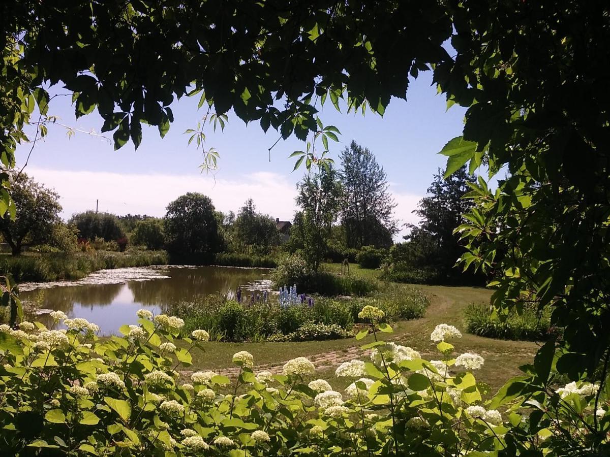 Dikisi Villa Daugavpils Dış mekan fotoğraf