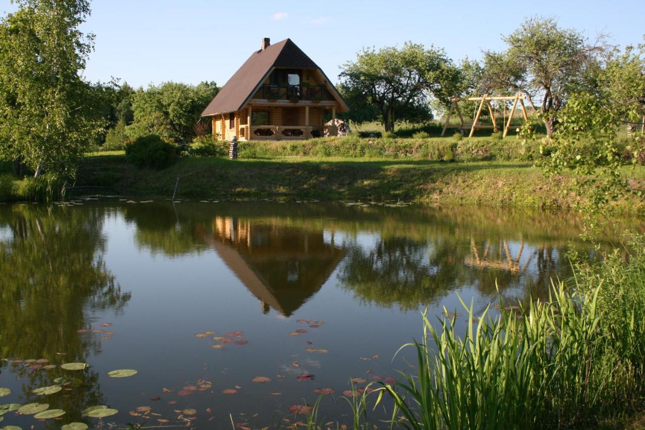 Dikisi Villa Daugavpils Dış mekan fotoğraf