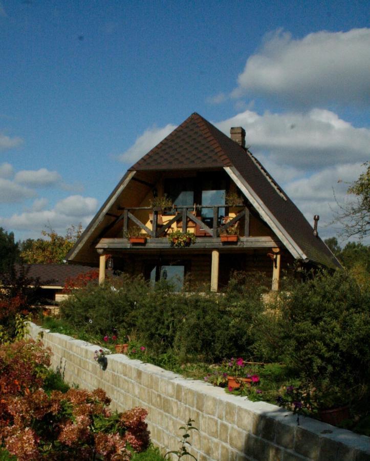 Dikisi Villa Daugavpils Dış mekan fotoğraf