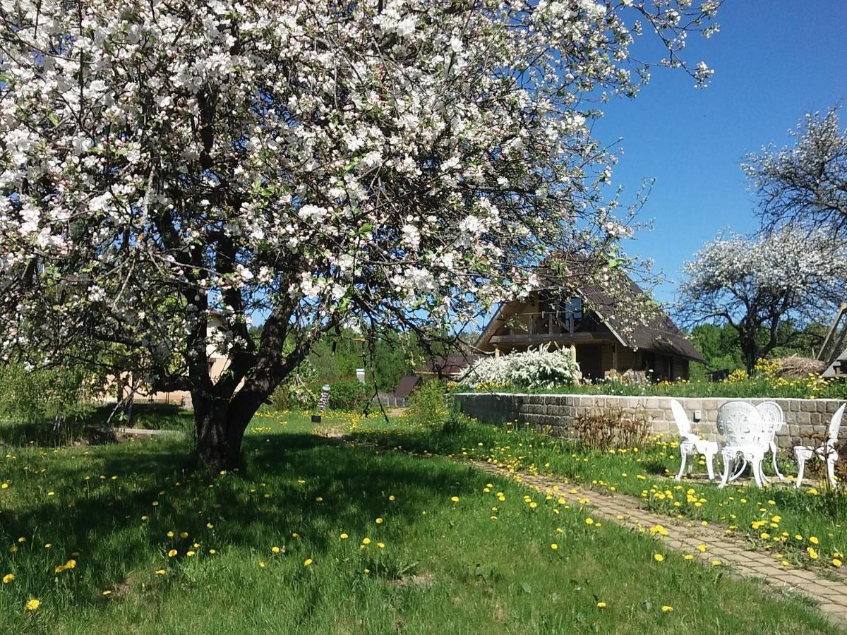 Dikisi Villa Daugavpils Dış mekan fotoğraf