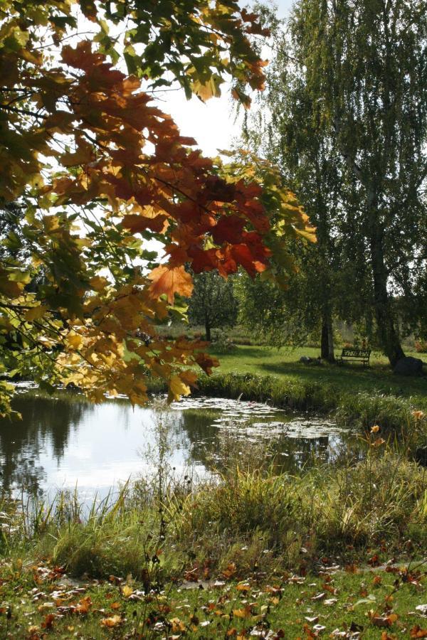 Dikisi Villa Daugavpils Dış mekan fotoğraf