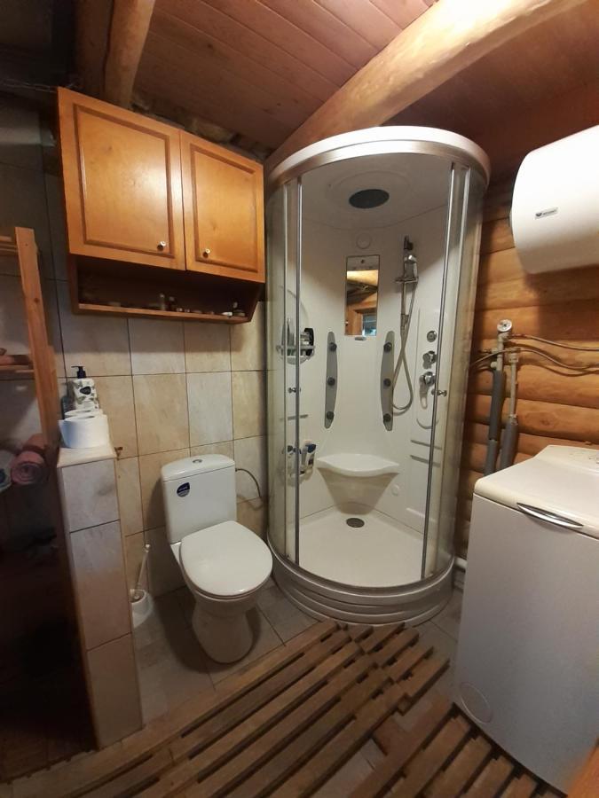 Dikisi Villa Daugavpils Dış mekan fotoğraf